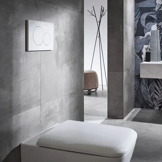 Geberit Sigma20 Round Flush Plate For Dual Flush - White With Matt White Detail detail view - Image 2