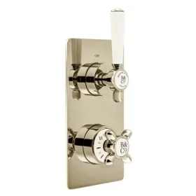 Booth & Co. 1 Outlet, 2 Handle Concealed Thermostatic Valve Bright Nickel & Crackled White product image - Image 1