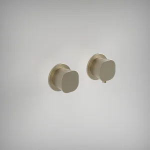 Ava Purity 2 Way 2 Handle Thermostatic Valve W/flanges - Brushed Brass