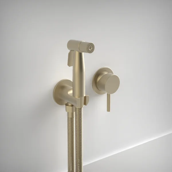 Ava Trend Douche Kit W/ Flanges - Brushed Brass