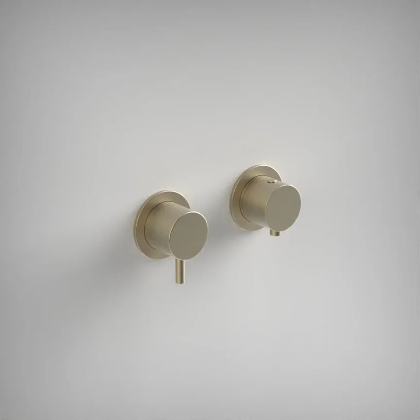 Ava Trend 1 Way 2 Handle Thermostatic Valve W/ Flanges - Brushed Brass product image - Image 1