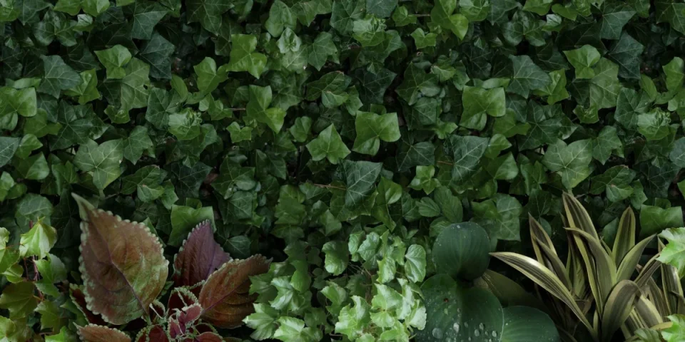 European Tiles Rainforest 50x100 3.5mm Rectified Tile - Piece A detail view - Image 2