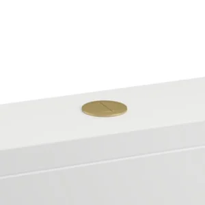 Britton Cistern Flush Button Brushed Brass