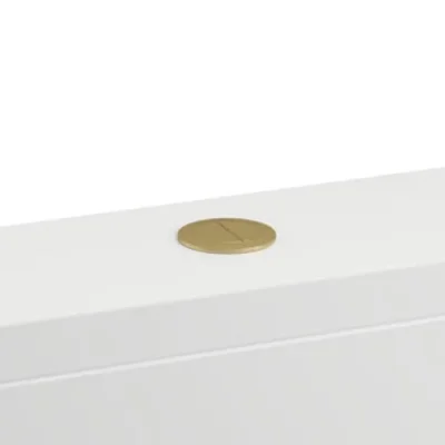Britton Cistern Flush Button Brushed Brass product image - Image 1