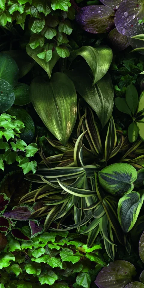 European Tiles Rainforest 50x100 3.5mm Rectified Tile - Piece B product image - Image 1