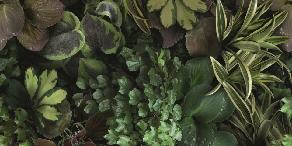 European Tiles Rainforest 50x100 3.5mm Rectified Tile - Piece C detail view - Image 2