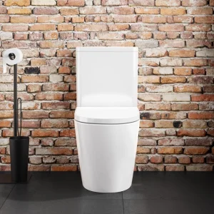 Cubico Zodiac Rimless Cistern