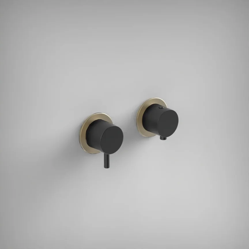 Ava Trend 2 Way 2 Handle Thermostatic Valve W/ Brushed brass flanges - Brushed Black product image - Image 1