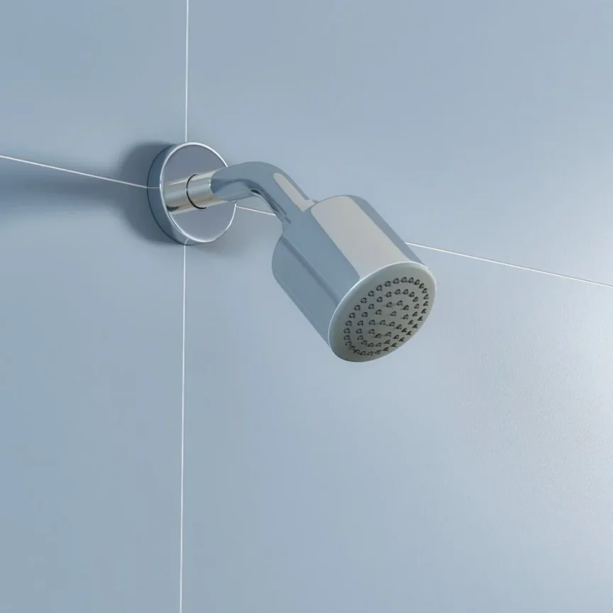 Gym/Club Shower Heads
