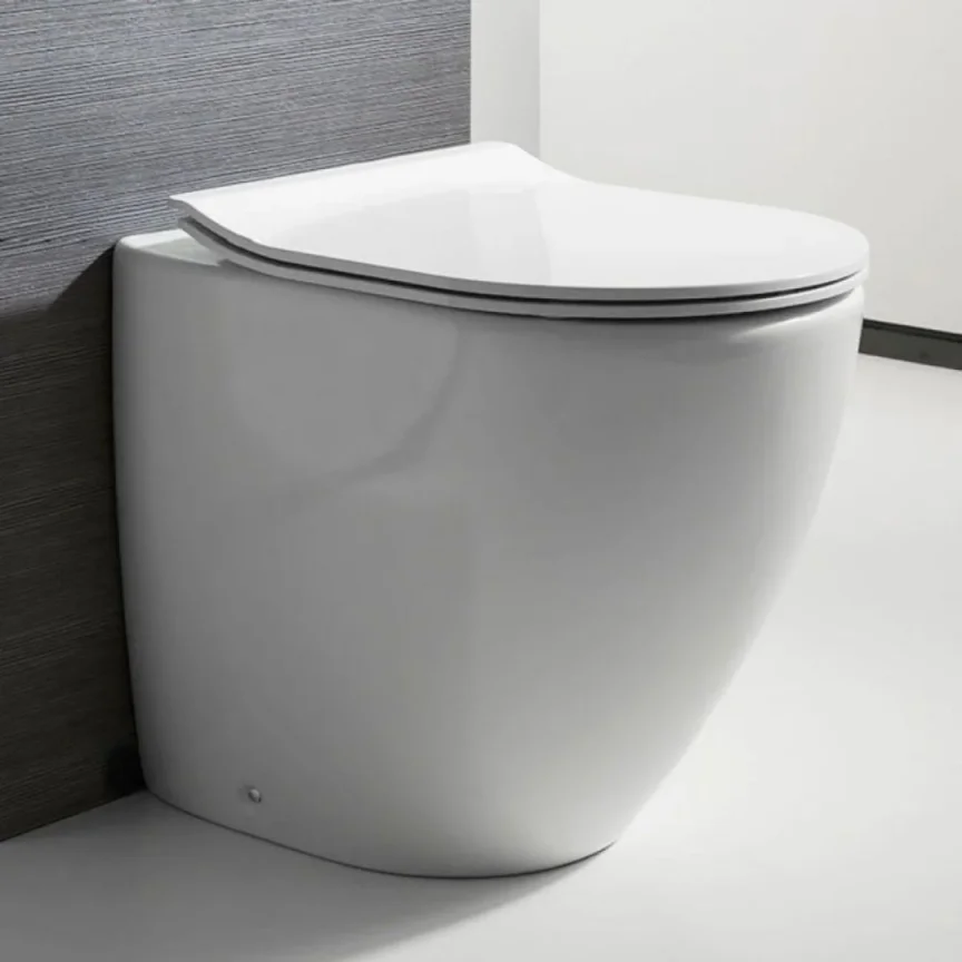 Back to Wall Toilets - Hudson Reed Back To Wall Pan White - Image 1