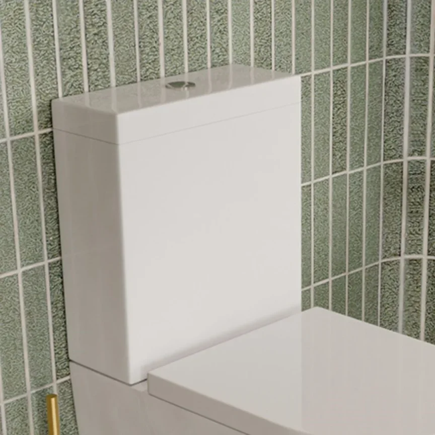 Burlington High Level Dual Flush Cistern Lever For C5 -nickel