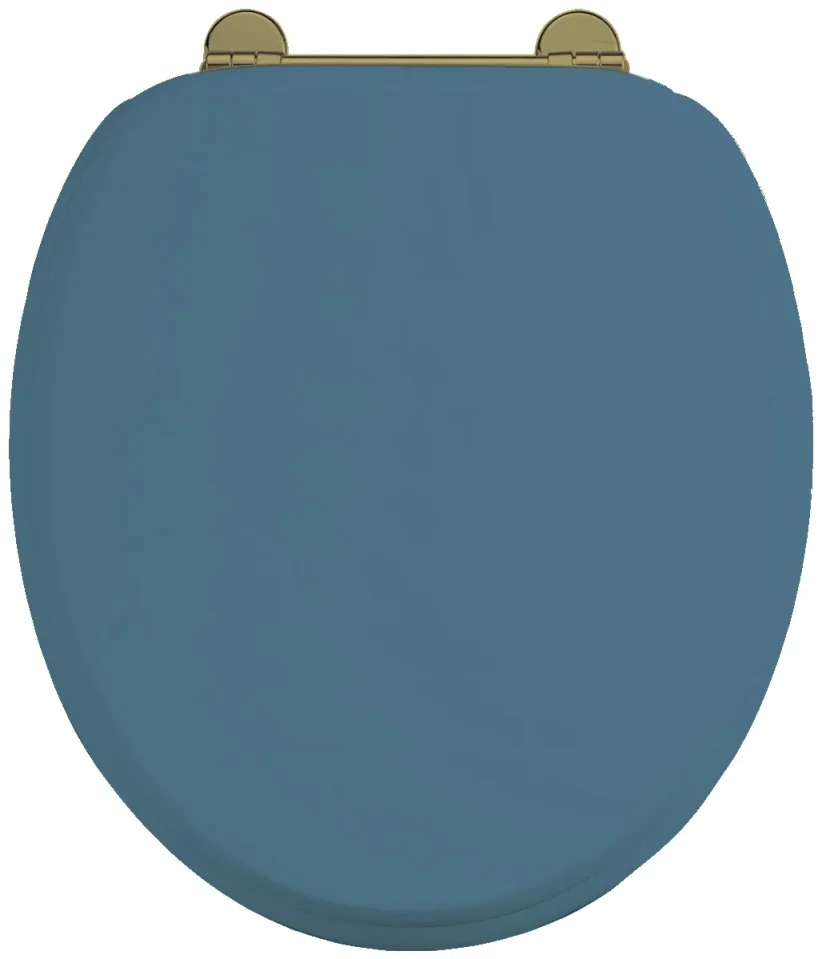 Burlington Bespoke Seat Blue With Gold Hinges detail view - Image 1