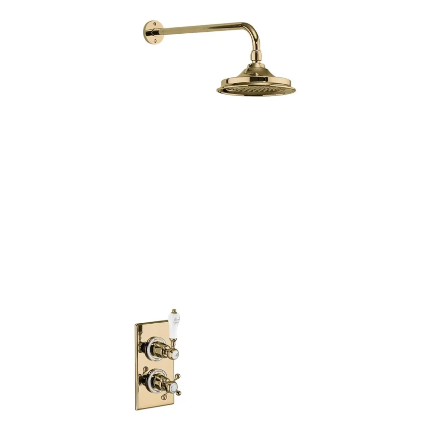 Burlington Trent Single Shower Valve And Arm Gold detail view - Image 1
