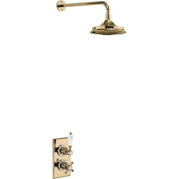 Burlington Trent Single Shower Valve And Arm Gold