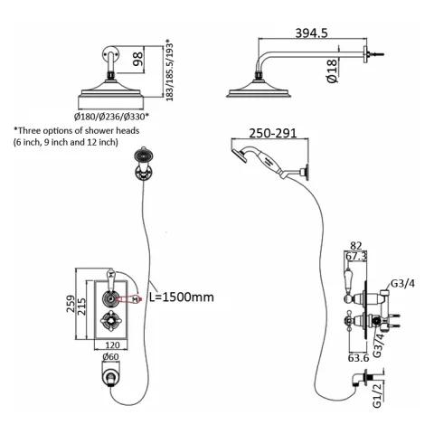Burlington Trent 2 Outlet Shower Gold With 9" Head detail view - Image 2