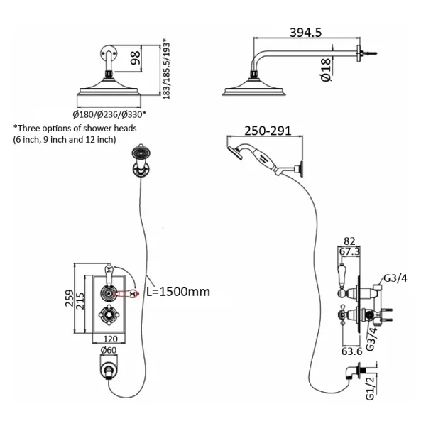 Burlington Trent 2 Outlet Shower Gold With 9" Head detail view - Image 2