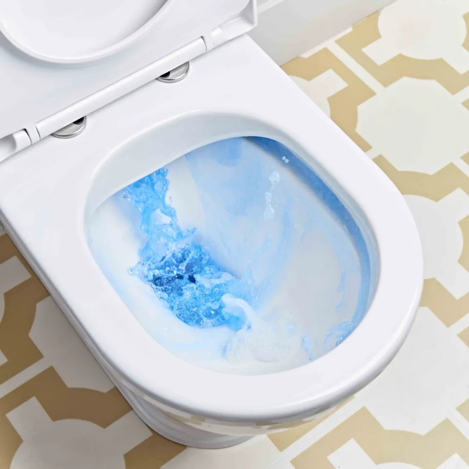 Roper Rhodes 490mm Langford Back To Wall Pan - White detail view - Image 3