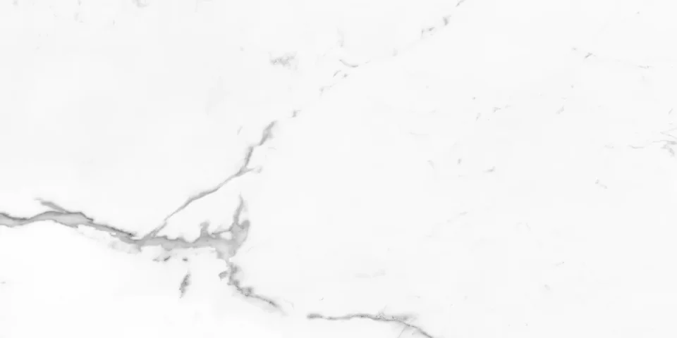 European Tiles Marmo STATUARIO LUX ONDA 120 X 60 Rectified Matte Tile detail view - Image 4