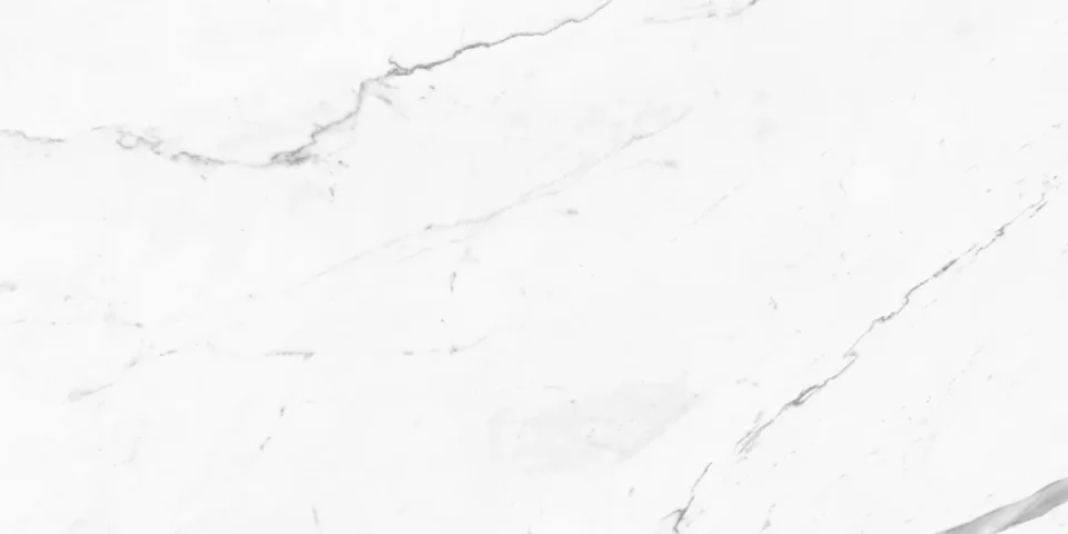 European Tiles Marmo STATUARIO LUX ONDA 120 X 60 Rectified Matte Tile detail view - Image 5