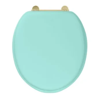 Burlington Bespoke Cosmic Green Seat With Chrome Hinges product image - Image 1