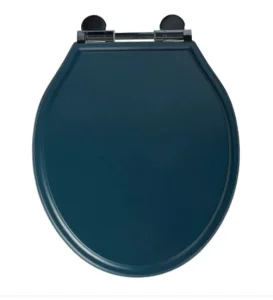 Roper Rhodes Hampton Painted Soft Close Toilet Seat - Derwent Blue