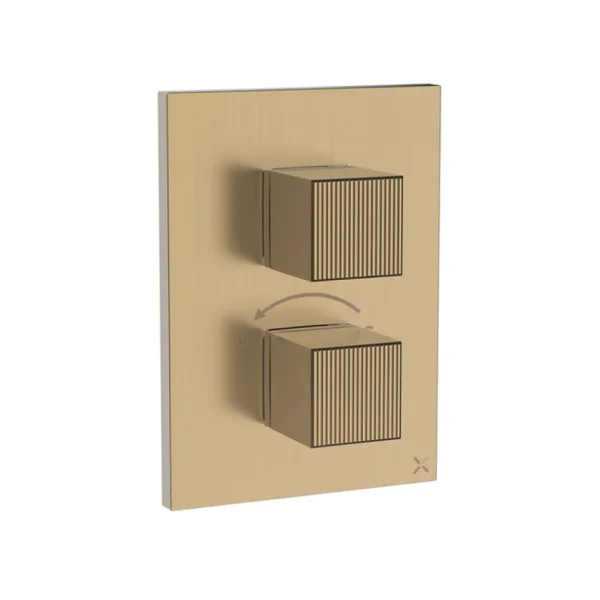 Crosswater Crossbox Limit 2 Oulet Trim & Levers Brushed Brass