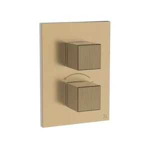 Crosswater Crossbox Limit 2 Oulet Trim & Levers Brushed Brass