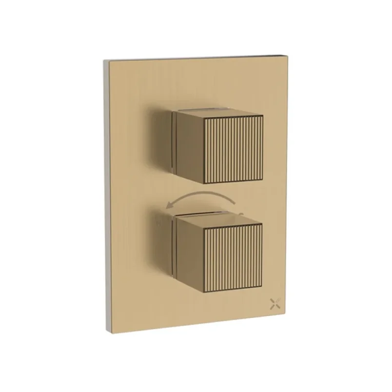 Crosswater Crossbox Limit 2 Oulet Trim & Levers Brushed Brass detail view - Image 1