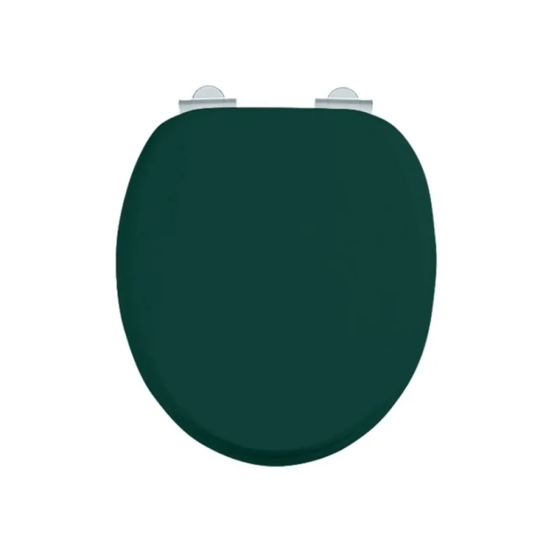 Burlington Soft Close Toilet Seat Matt Green detail view - Image 1