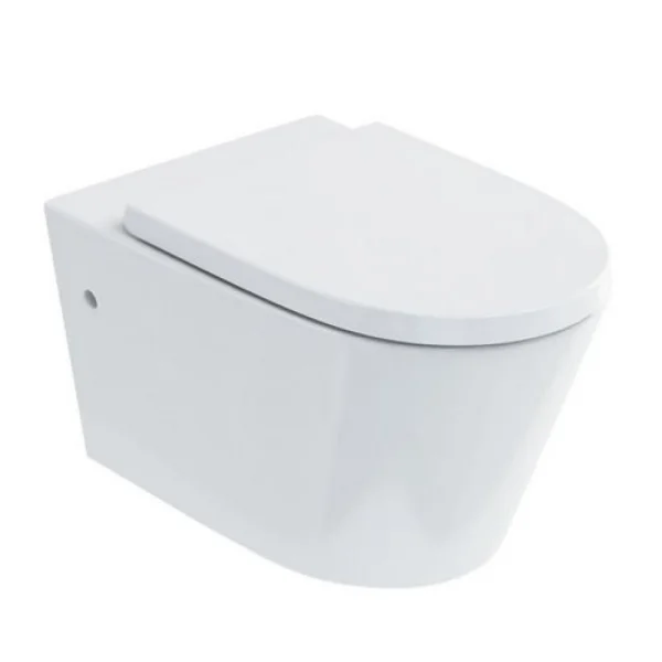 Burlington Sphere Rimless Wall Hung Wc & Seat