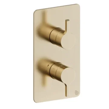 Britton Hoxton 2.0 Shower Mixer Without Diverter Including The Conceal Valve Brushed Brass