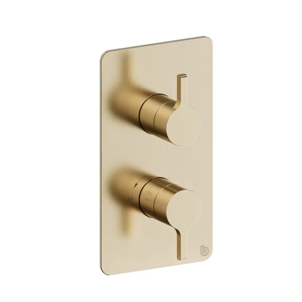 Britton Hoxton 2.0 Shower Mixer With Diverter Including The Conceal Valve Brushed Brass