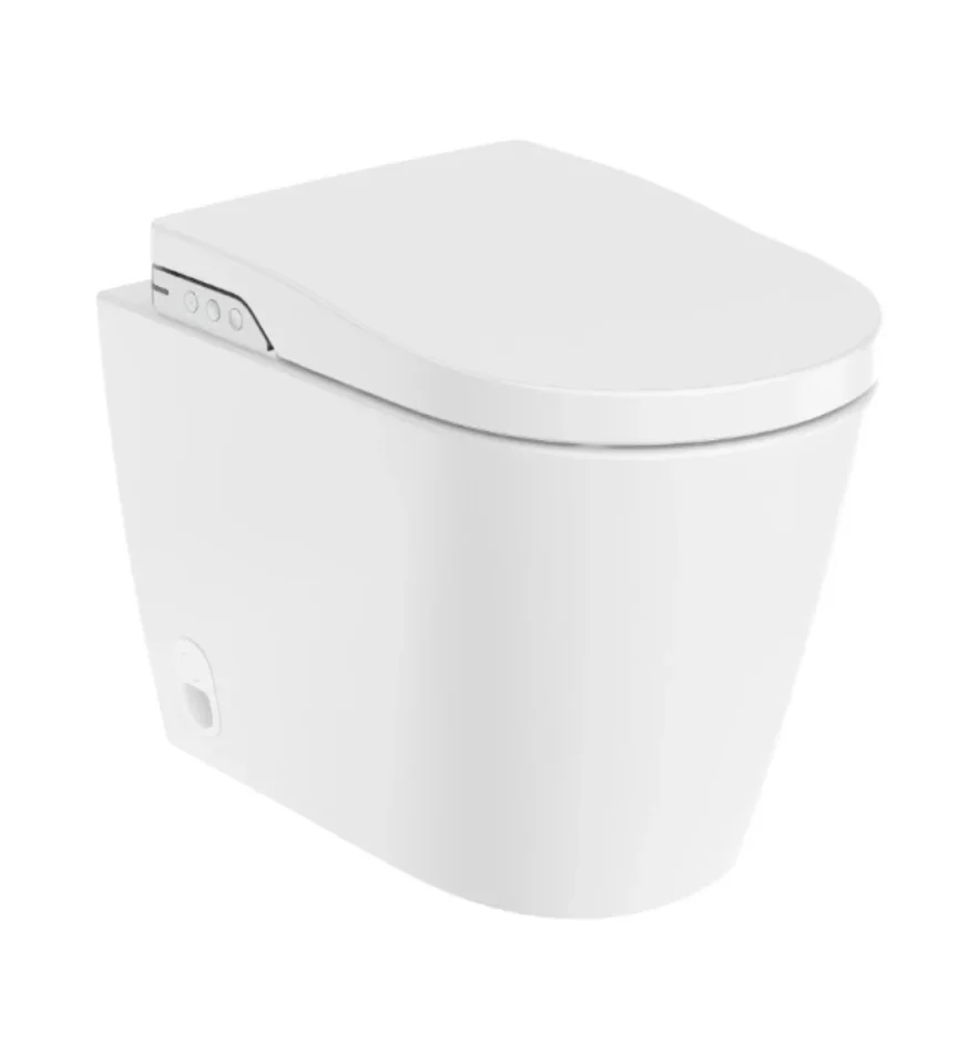 Roca Inspira In-wash Back To Wall Wc & Soft Close Seat (a80306300r) - Image 1