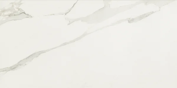European Tiles Anima Calacatta White Matt R10 Tile 60x120cm Stock