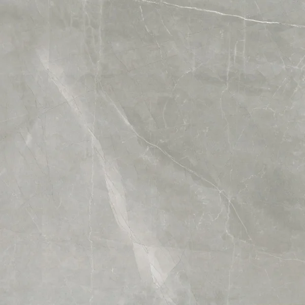 Timeless Amani Grey Luc Tiles 60x60 CM Tiles
