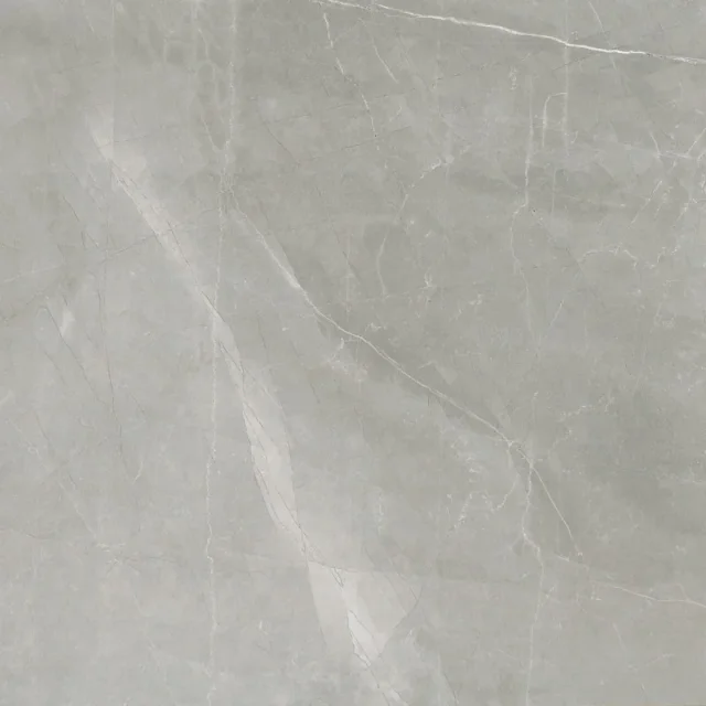 Timeless Amani Grey Luc Tiles 60x60 CM Tiles detail view - Image 1
