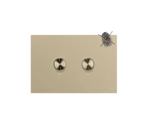 Oli Blink Brushed Brass Fingerprint Free Flush Plate RT