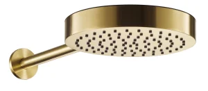 Just Taps Evo Shower Head And Arm