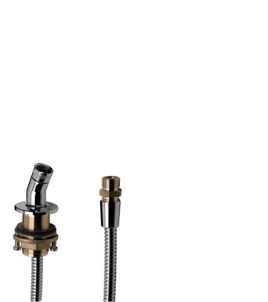 Hansgrohe Shower Support Rim Mounted With Hose Chrome