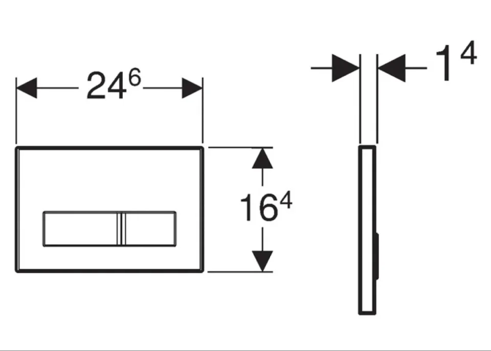 Geberit Sigma 21 Toilet Flush Plate for Dual Flush Cistern Custom Finish detail view - Image 3