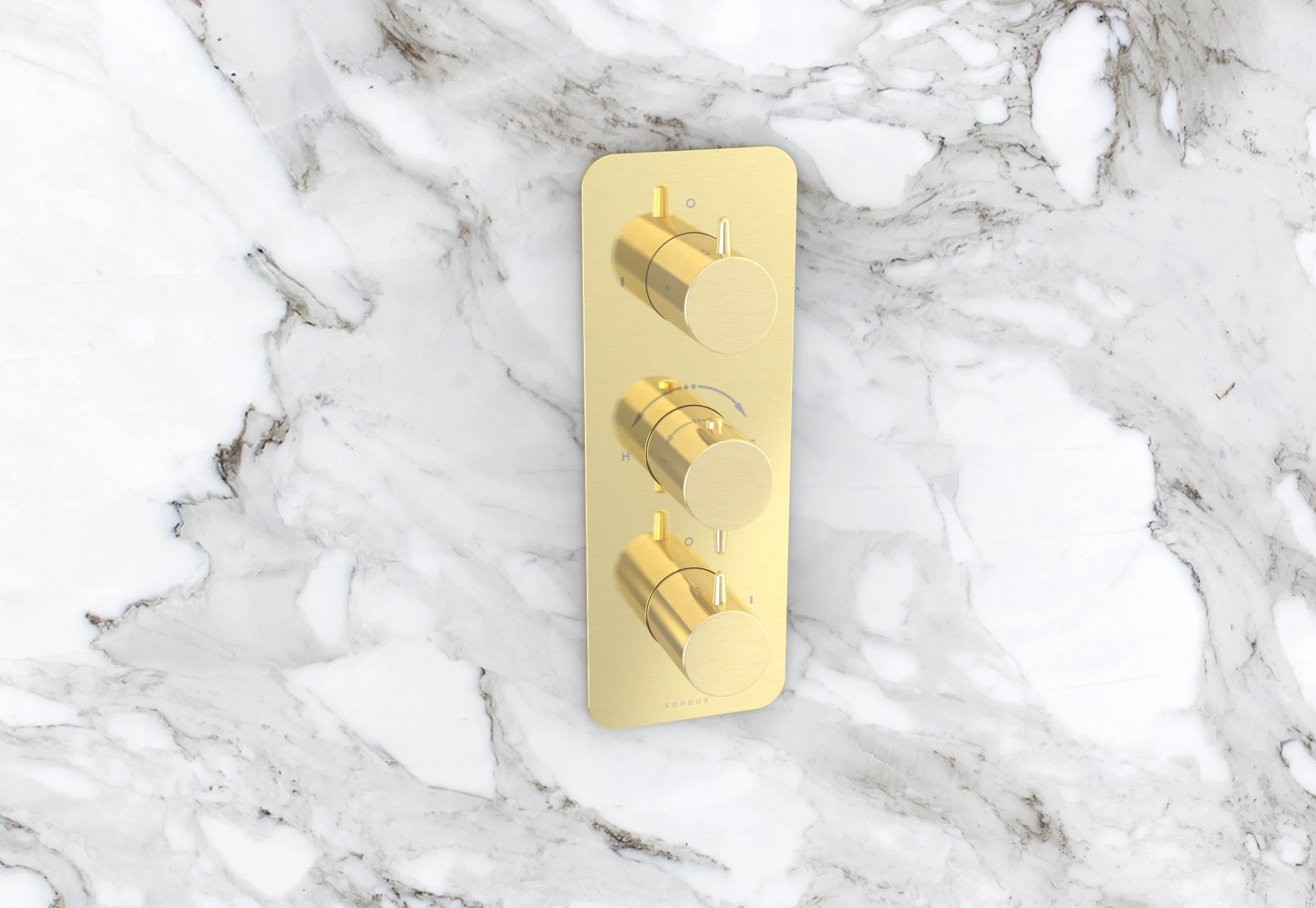 Saneux Eden 3 Way Handles & Plate Finish Kit In Portrait (for Ed021.bb) - Brushed Brass (pvd)