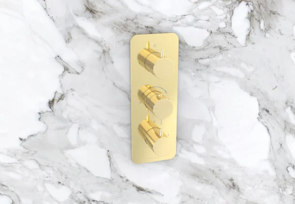 Saneux Eden 3 Way Handles & Plate Finish Kit In Portrait (for Ed021.bb) - Brushed Brass (pvd)