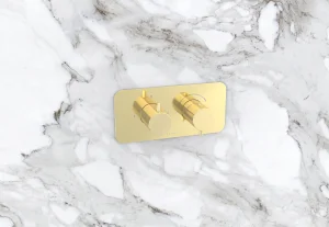 Saneux Eden 2 Way Handles & Plate Finish Kit In Landscape (for Ed020l.bb) - Brushed Brass (pvd)