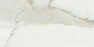 European Tiles Antique Pure Marble 60x120cm 