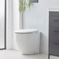 Roper Rhodes 490mm Paradigm Back To Wall Rimless Wc Pan