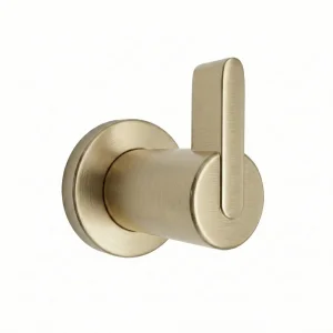 Ava Elegance Stainless Steel Robe Hook - Brushed Brass