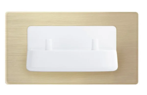 Cubico In Wall Electric Twin Toothbrush White Charger & Gold Backplate