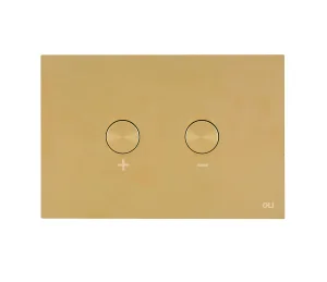 Oli Blink Inox Gold