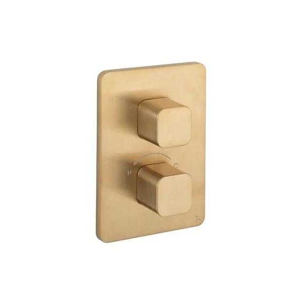 Crosswater Crossbox Atoll / Glide II 2 Outlet Trim & Levers Brushed Brass