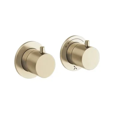 Crosswater Module Mpro 2 Control Diverter Trimset Brushed Brass detail view - Image 2